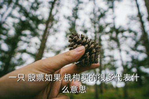 一只 股票如果 機構(gòu)買的很多代表什么意思