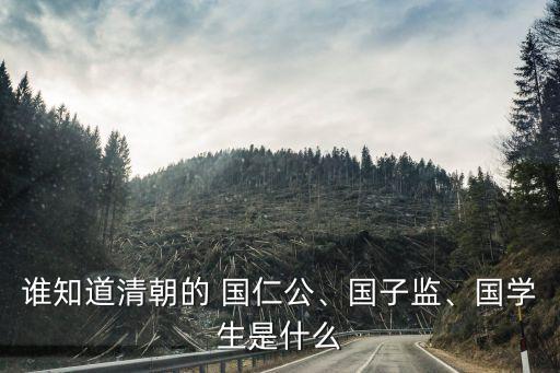 誰知道清朝的 國(guó)仁公、國(guó)子監(jiān)、國(guó)學(xué)生是什么