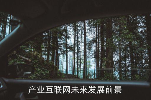 產業(yè)互聯(lián)網(wǎng)未來發(fā)展前景