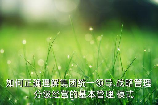 如何正確理解集團(tuán)統(tǒng)一領(lǐng)導(dǎo).戰(zhàn)略管理、分級(jí)經(jīng)營(yíng)的基本管理 模式