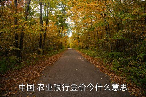 中國 農業(yè)銀行金價今什么意思