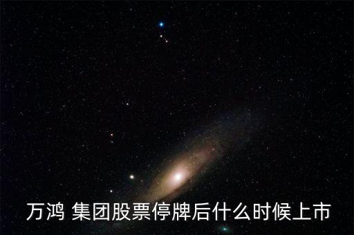  萬鴻 集團股票停牌后什么時候上市
