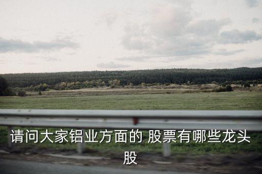 請(qǐng)問大家鋁業(yè)方面的 股票有哪些龍頭股