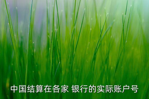 中國結算在各家 銀行的實際賬戶號