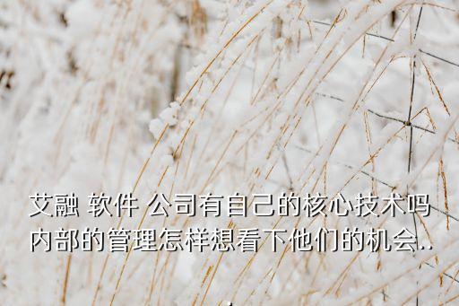 艾融 軟件 公司有自己的核心技術嗎內(nèi)部的管理怎樣想看下他們的機會...