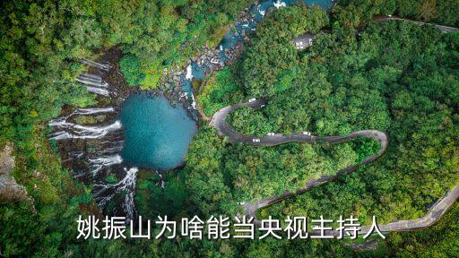  姚振山為啥能當(dāng)央視主持人