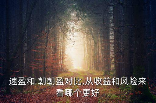 速盈和 朝朝盈對比,從收益和風(fēng)險(xiǎn)來看哪個更好