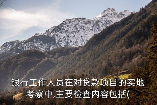  銀行工作人員在對貸款項目的實(shí)地 考察中,主要檢查內(nèi)容包括(