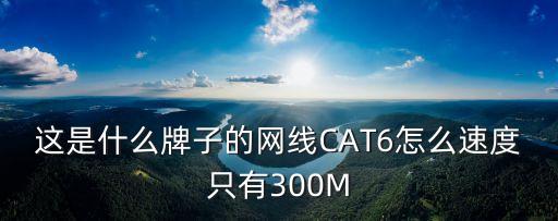 這是什么牌子的網線CAT6怎么速度只有300M