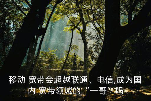 移動 寬帶會超越聯(lián)通、電信,成為國內 寬帶領域的“一哥”嗎