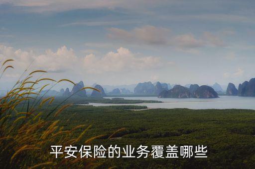  平安保險的業(yè)務覆蓋哪些