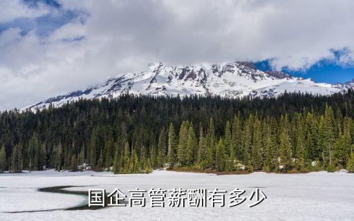 公司董事長有多少工資,任兩個(gè)公司董事長怎么領(lǐng)工資
