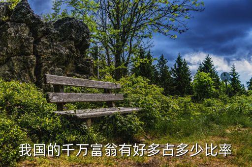 2014中國(guó)千萬(wàn)富豪,中國(guó)千萬(wàn)富豪占比