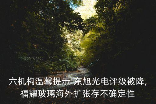 六機構溫馨提示:東旭光電評級被降,福耀玻璃海外擴張存不確定性