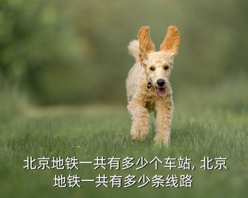 北京六號(hào)線(xiàn)西延線(xiàn),北京地鐵7號(hào)線(xiàn)西延