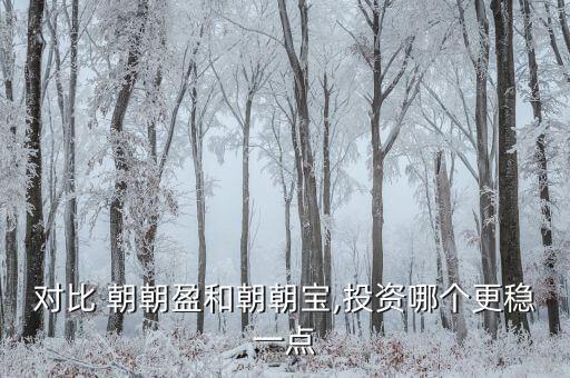 對比 朝朝盈和朝朝寶,投資哪個更穩(wěn)一點(diǎn)