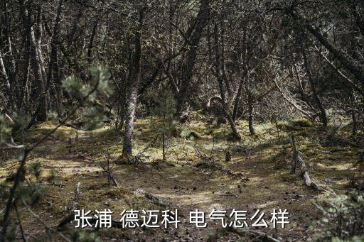 德邁科電氣集團(tuán)董事長,珠海邁科集團(tuán)董事長個人簡歷