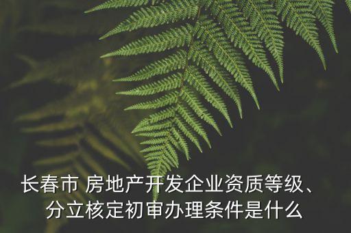 房地產(chǎn)公司投資達到多少可以分立,投資一家房地產(chǎn)公司需要多少錢