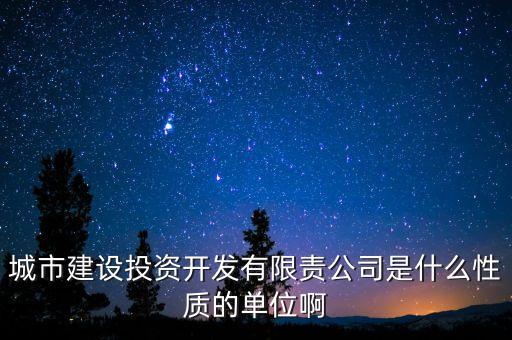 城市建設(shè)投資開發(fā)有限責公司是什么性質(zhì)的單位啊