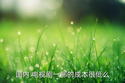 國內 電視劇一部的成本很低么