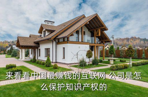 來看看中國最賺錢的互聯(lián)網(wǎng) 公司是怎么保護知識產(chǎn)權(quán)的