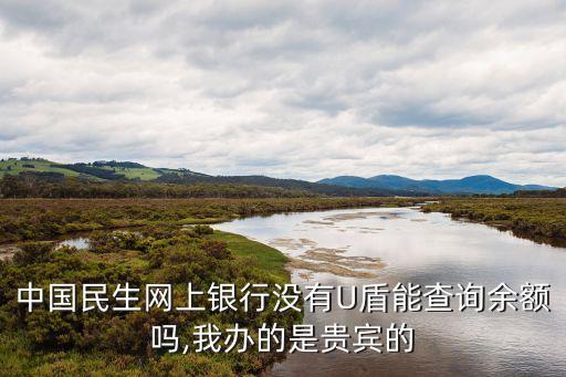 中國(guó)民生網(wǎng)上銀行沒有U盾能查詢余額嗎,我辦的是貴賓的