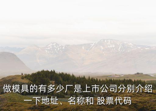 做模具的有多少廠是上市公司分別介紹一下地址、名稱和 股票代碼