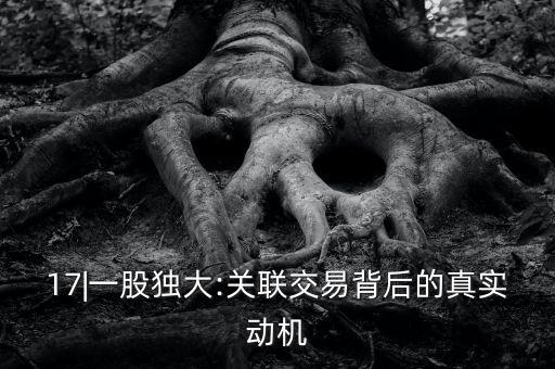 雷士照明公司治理