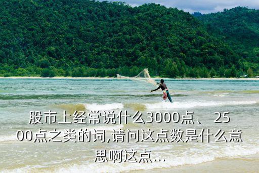 股市上經(jīng)常說什么3000點、 2500點之類的詞,請問這點數(shù)是什么意思啊這點...