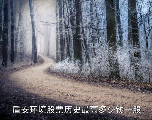  盾安環(huán)境股票歷史最高多少錢(qián)一股