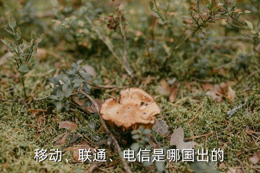 移動(dòng)、聯(lián)通、電信是哪國(guó)出的
