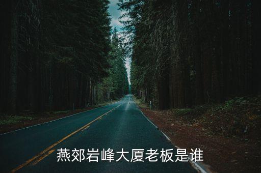 燕郊巖峰大廈老板是誰(shuí)