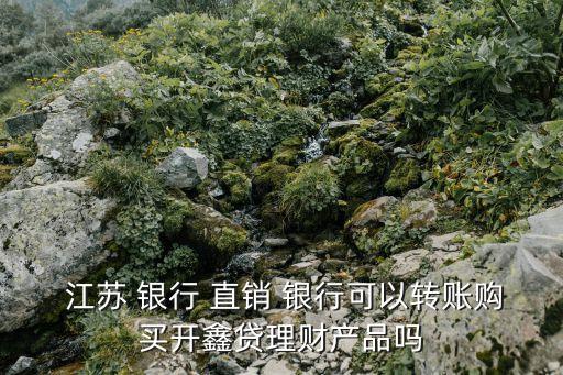  江蘇 銀行 直銷 銀行可以轉(zhuǎn)賬購買開鑫貸理財產(chǎn)品嗎