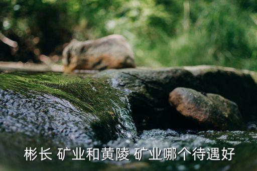 陜西彬長(zhǎng)礦業(yè)集團(tuán)有限公司煤化工公司,2、陜西彬長(zhǎng)礦業(yè)集團(tuán)有限公司