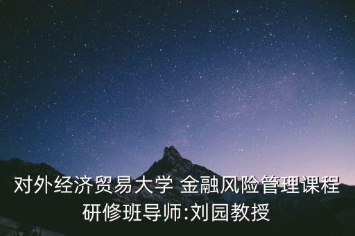 對外經(jīng)濟(jì)貿(mào)易大學(xué) 金融風(fēng)險管理課程研修班導(dǎo)師:劉園教授