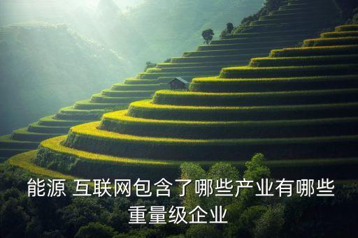 沒(méi)有上市的能源互聯(lián)網(wǎng)公司,中國(guó)上市互聯(lián)網(wǎng)公司全部名單