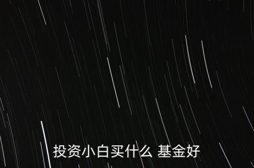 投資小白買(mǎi)什么 基金好