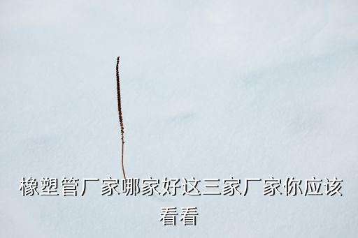 杭州亞聯橡塑材料有限公司,朗晟橡塑(杭州)有限公司