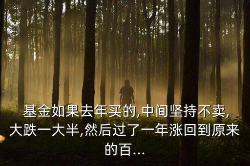  基金如果去年買的,中間堅(jiān)持不賣,大跌一大半,然后過(guò)了一年漲回到原來(lái)的百...