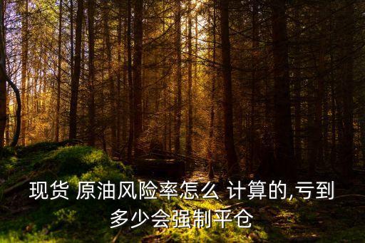 現(xiàn)貨 原油風(fēng)險率怎么 計算的,虧到多少會強制平倉
