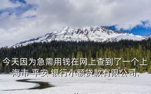 今天因?yàn)榧毙栌缅X(qián)在網(wǎng)上查到了一個(gè)上海市 平安 銀行小額貸款有限公司...