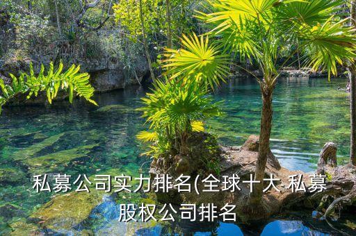  私募公司實力排名(全球十大 私募股權公司排名