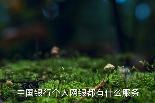  中國銀行個人網銀都有什么服務