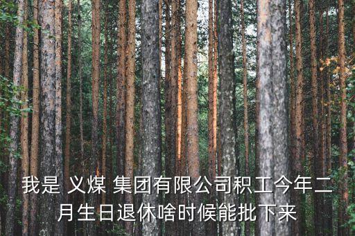 我是 義煤 集團(tuán)有限公司積工今年二月生日退休啥時候能批下來