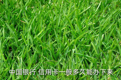  中國(guó)銀行 信用卡一般多久能辦下來
