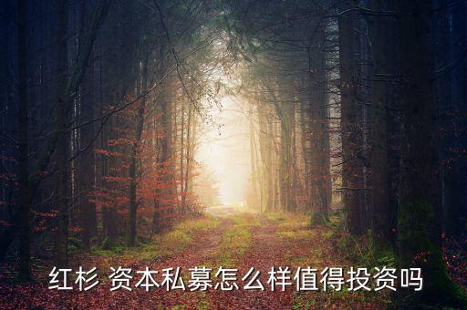 怎么買紅杉資本基金,紅杉資本基金可以個(gè)人投資嗎
