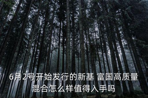 6月2號(hào)開始發(fā)行的新基 富國(guó)高質(zhì)量混合怎么樣值得入手嗎