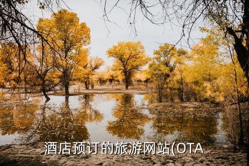 酒店預訂的旅游網站(OTA