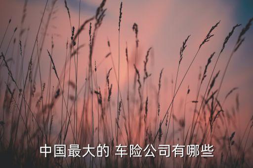 中國最大的 車險(xiǎn)公司有哪些