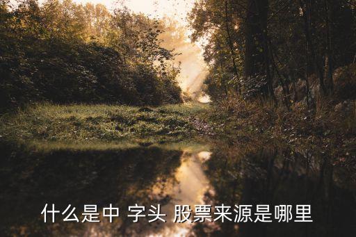 什么是中 字頭 股票來(lái)源是哪里